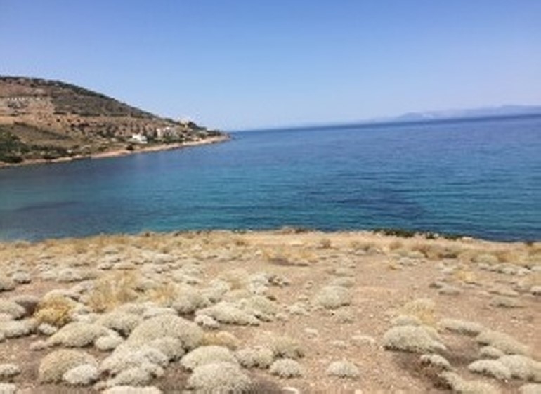 (For Sale) Land Plot || East Attica/Keratea - 4.365 Sq.m, 1.000.000€ 