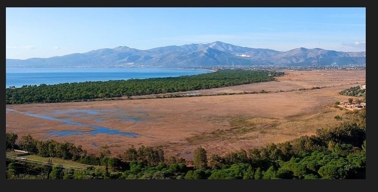 (Προς Πώληση) Αξιοποιήσιμη Γη Οικόπεδο || Ανατολική Αττική/Μαραθώνας - 1.120 τ.μ, 250.000€ 
